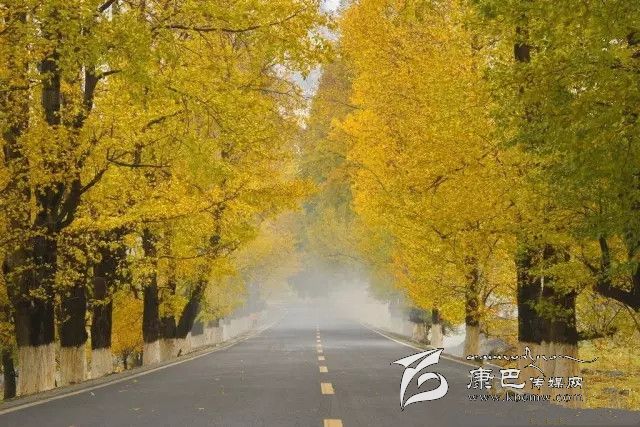 康定新都橋，有一條黃金大道通往夢(mèng)中的天堂