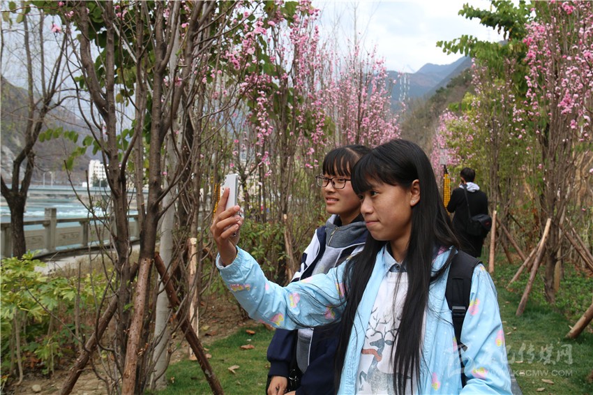 春光俏！“醉”是瀘定春三月，踏青賞花正當(dāng)時(shí)