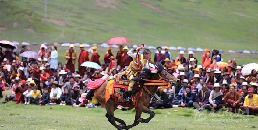 格?；ㄊ㈤_ 牧民馬背上一顯身手