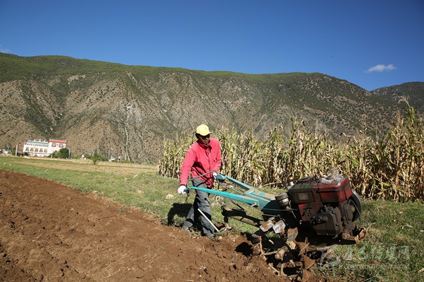 田園藏鄉(xiāng)美如畫(huà)，百姓脫貧喜在心