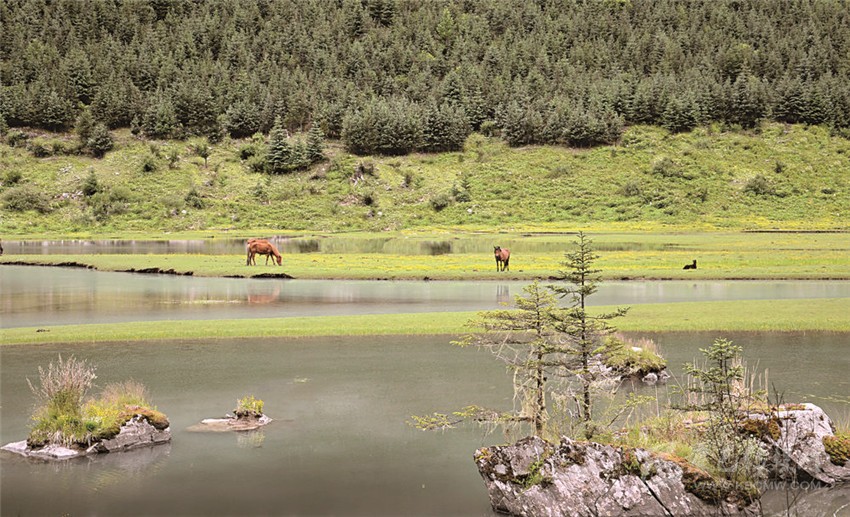 去甘孜 邂逅絕美湖泊海子！
