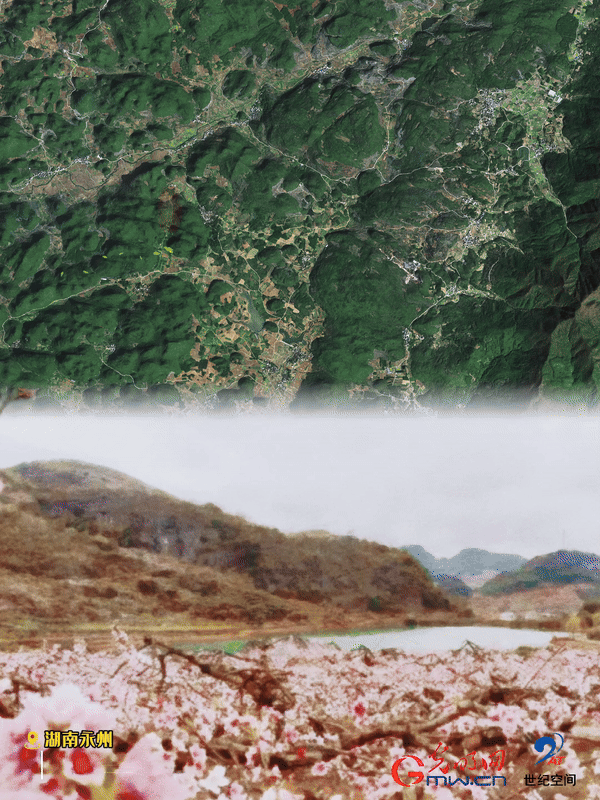 清明游玩賞花圖鑒來了！衛(wèi)星鏡頭帶你先睹為快